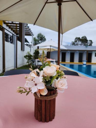mangoro hotel