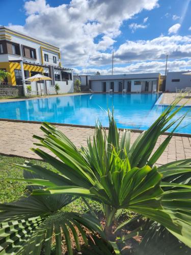 mangoro hotel