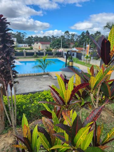 mangoro hotel