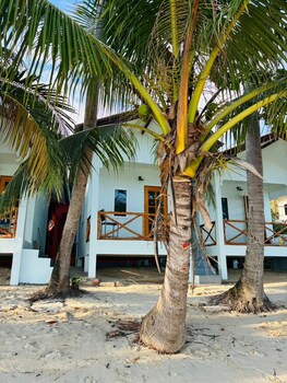 lamai beachnest bunaglows