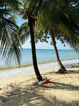 lamai beachnest bunaglows