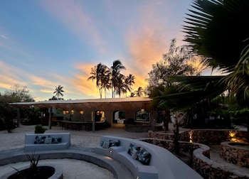 lost soles lodge