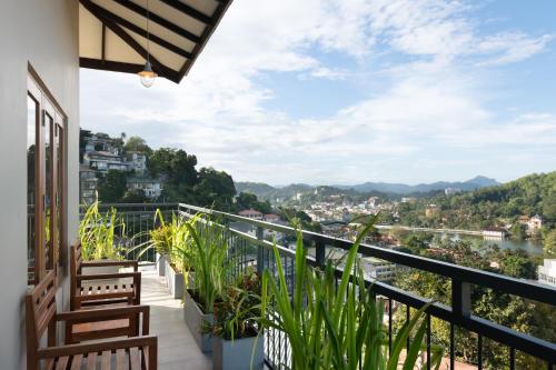 oak ray sky terrace