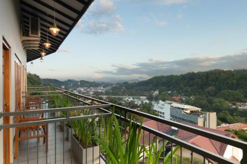 oak ray sky terrace