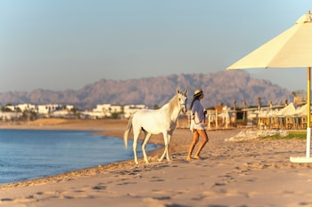 hurghada