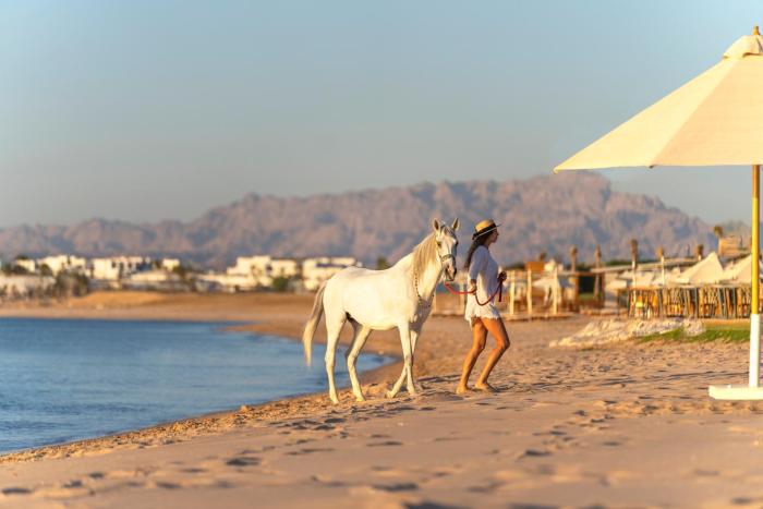 rixos premium magawish bay view