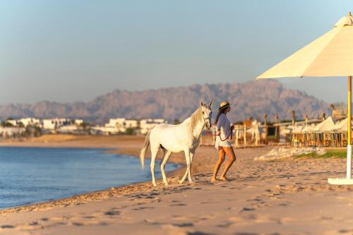 rixos premium magawish bay view