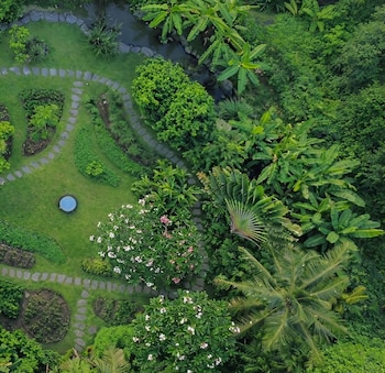 anaya zanzibar