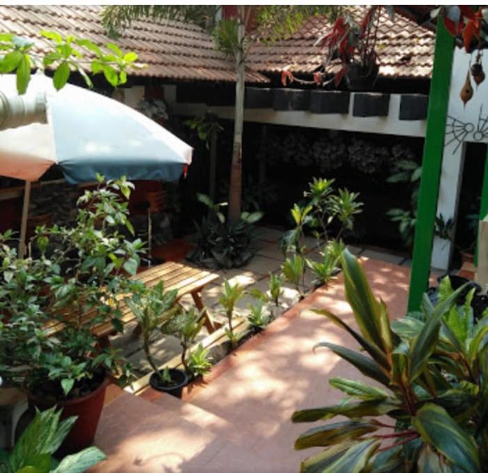 villa tidina and the country house