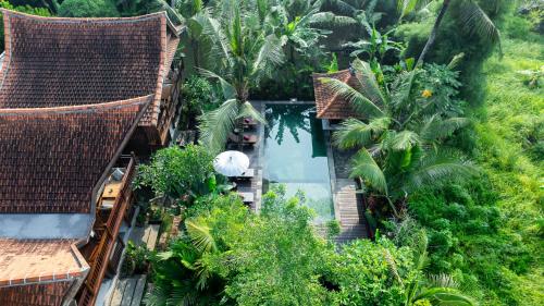 mandala suites