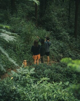 wishing tree boutique resort haputale