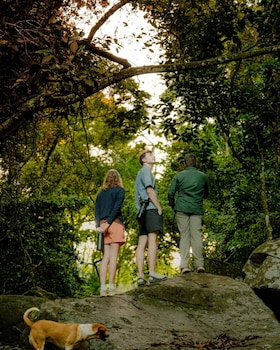 wishing tree boutique resort haputale