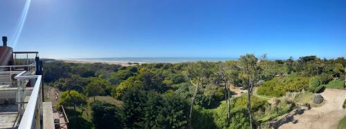 jaina resort and spa