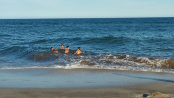 mar de las pampas