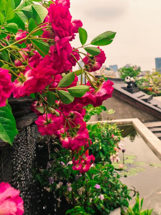 chengdu yunduo hotel