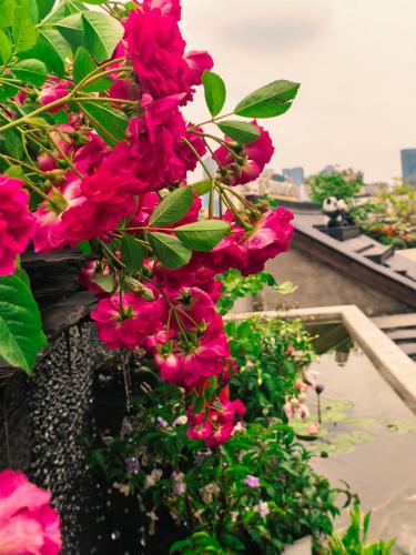 chengdu yunduo hotel