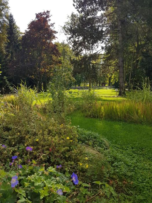 saint amand les eaux