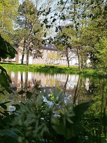 saint amand les eaux