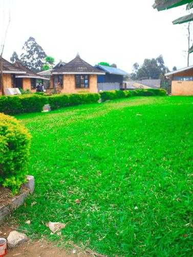 oldoiyo lengai hotel