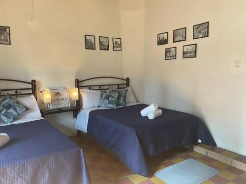 hotel zamora downtown cdmx