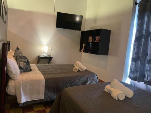 hotel zamora downtown cdmx