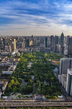 the ritz carlton wuhan