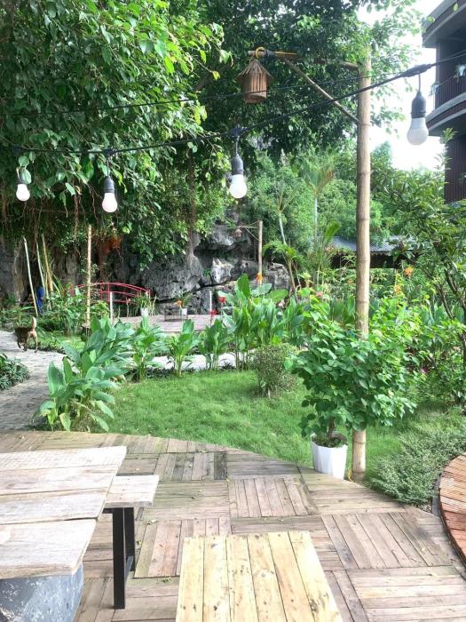 hoa lu