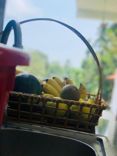 finch tangalle