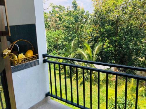 finch tangalle