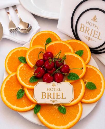 briel hotel