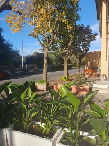 albergo flaminia rooms