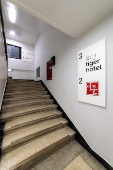 lazy tiger hotel