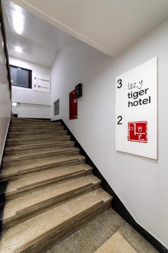 lazy tiger hotel