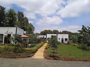 plantains place karatina