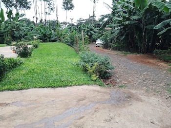 plantains place karatina