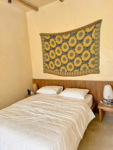 campo de sole villa hoa binh