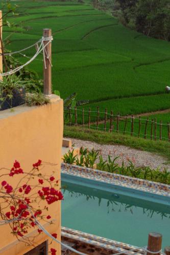 campo de sole villa hoa binh