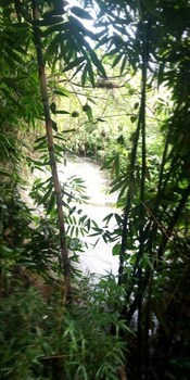 ole sidai riverine gardens
