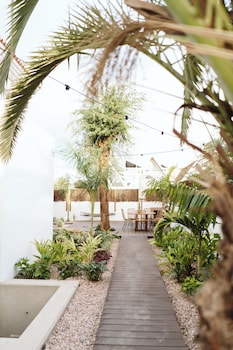 arena wave hostel