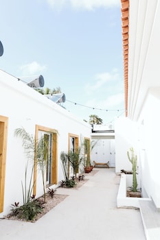 arena wave hostel