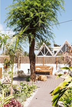 arena wave hostel