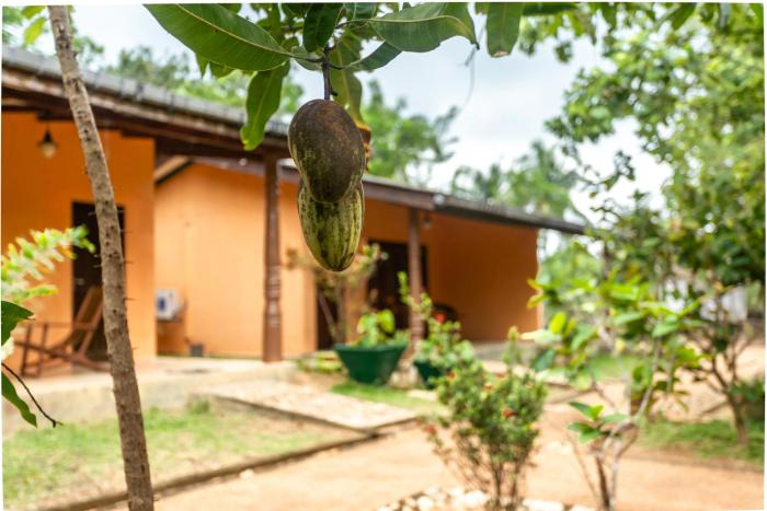 elephant path by alpine resorts