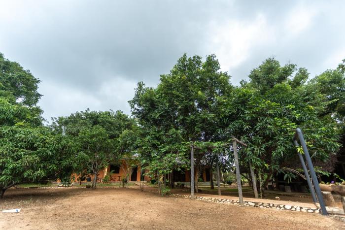 elephant path by alpine resorts
