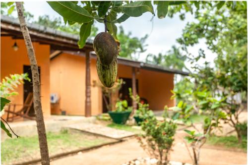 elephant path by alpine resorts