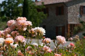 agriturismo le valli