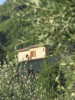 casciana terme lari