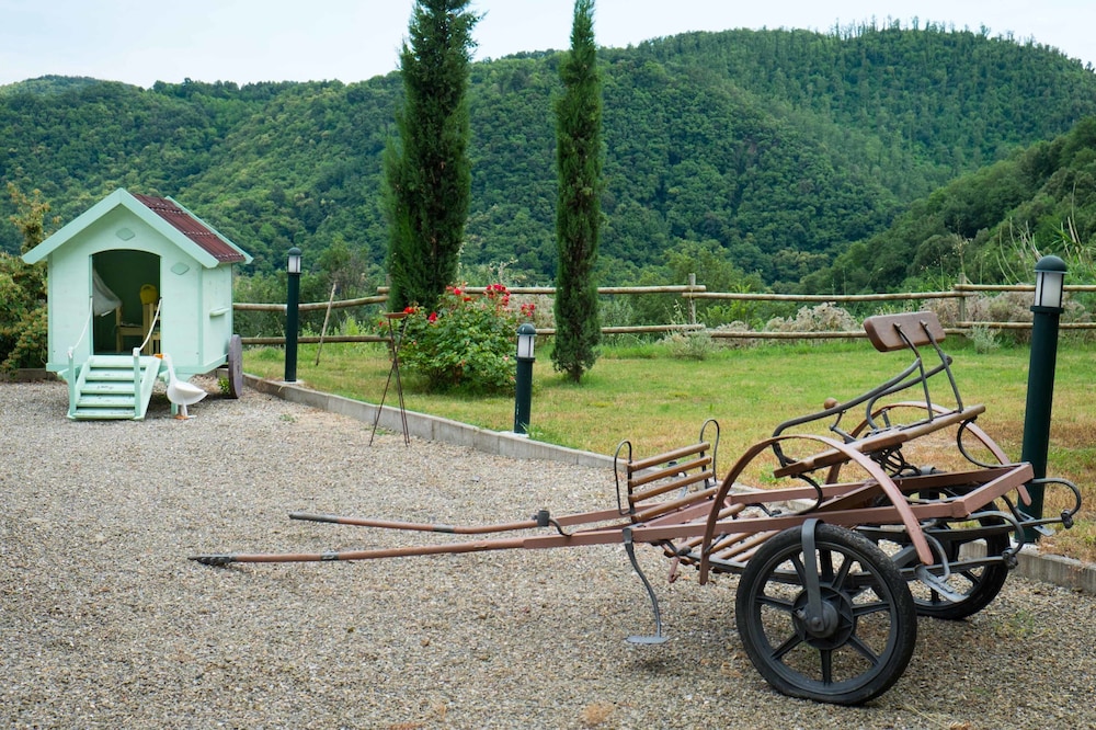 casciana terme lari