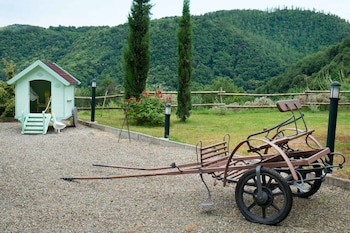 casciana terme lari