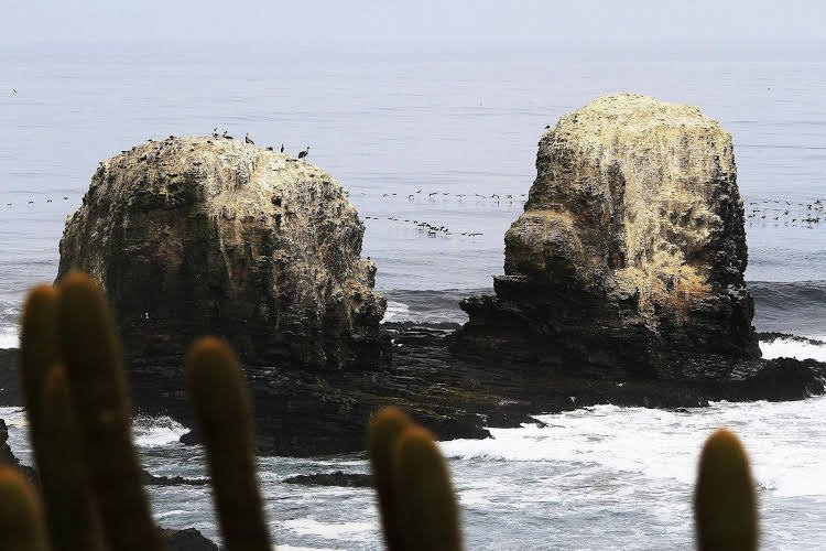 pichilemu