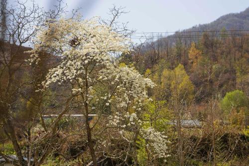 old river story art mountain retreat